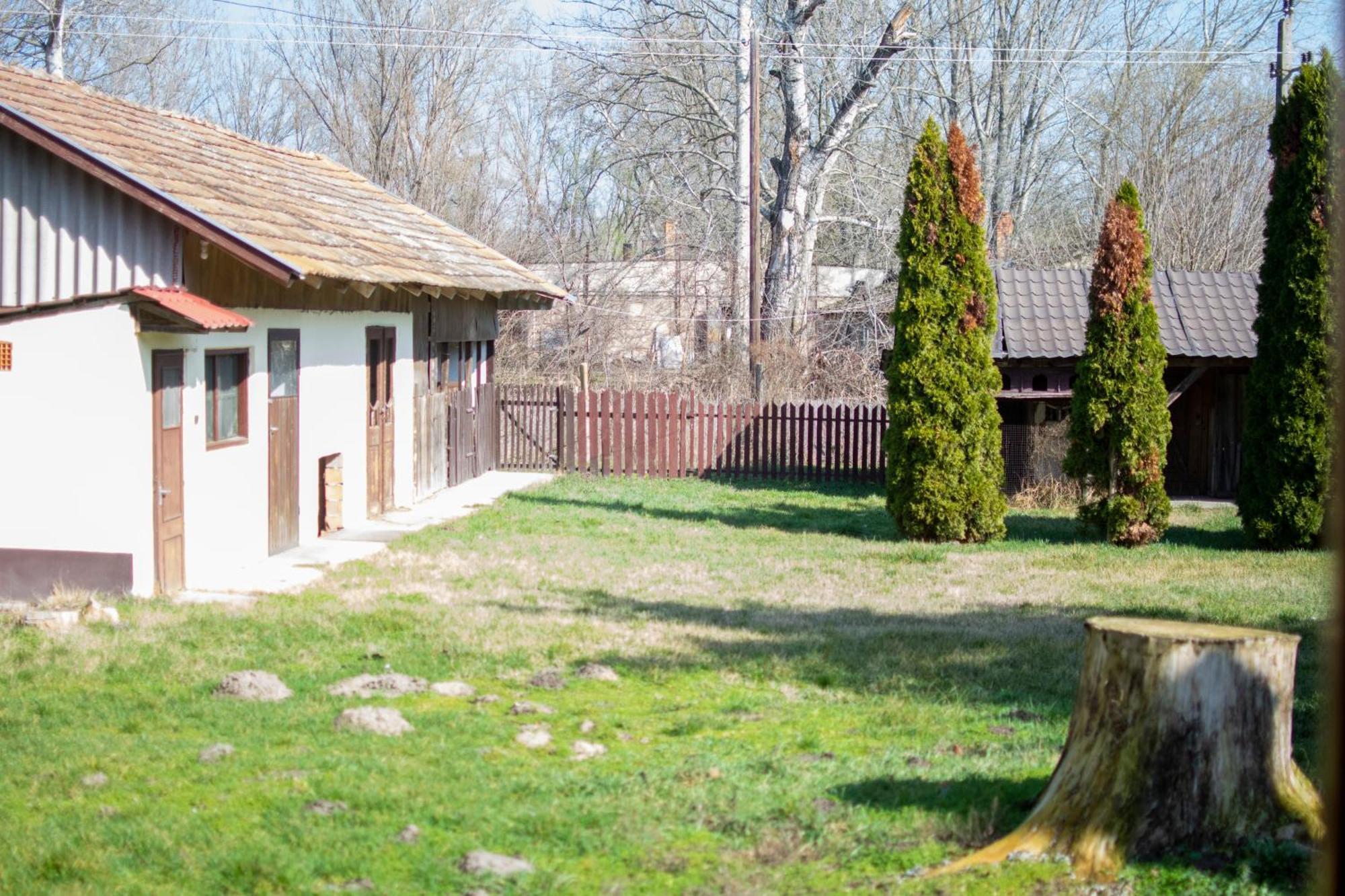 Villa Flora Kiskunmajsa Kültér fotó