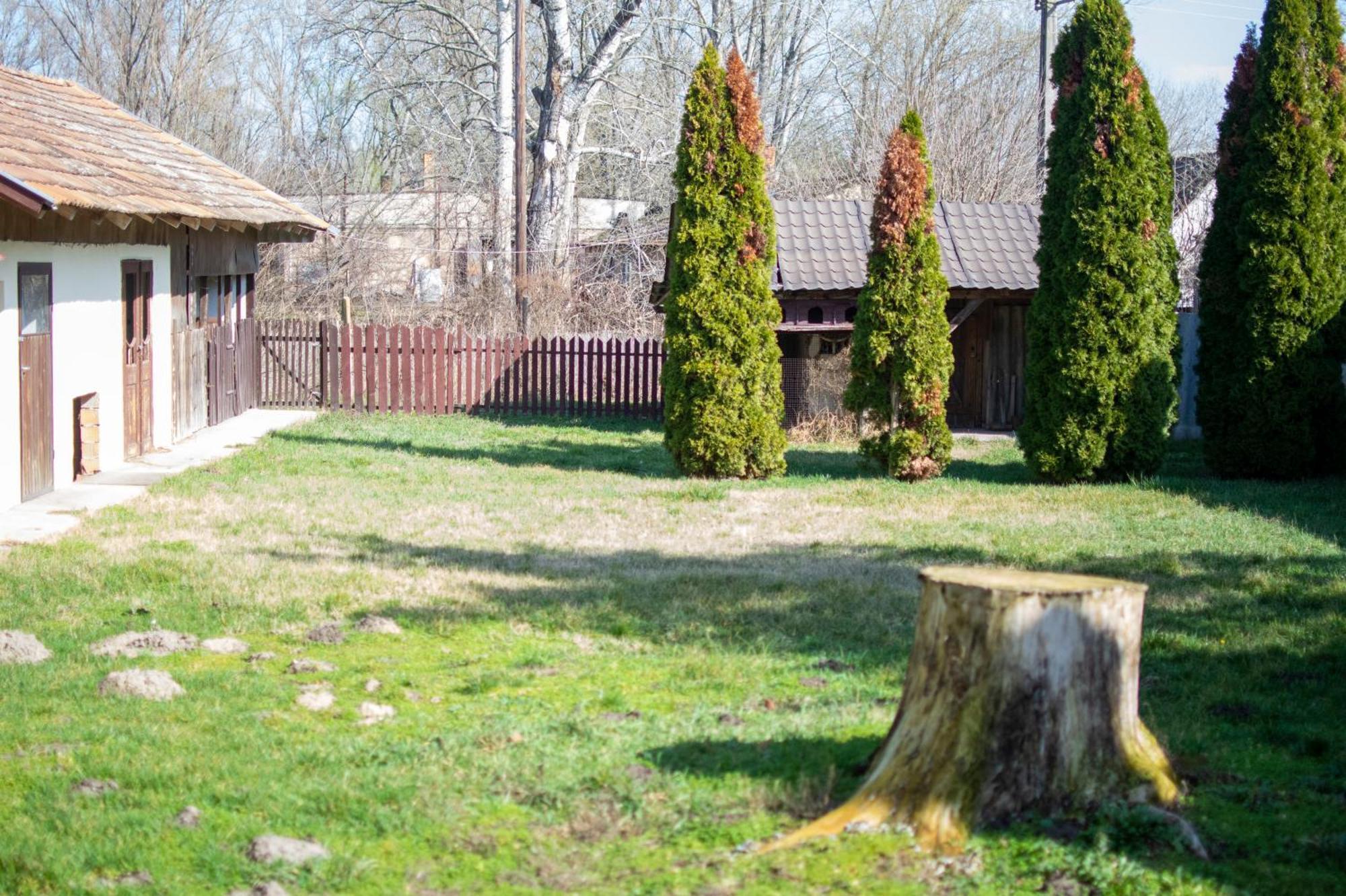 Villa Flora Kiskunmajsa Kültér fotó